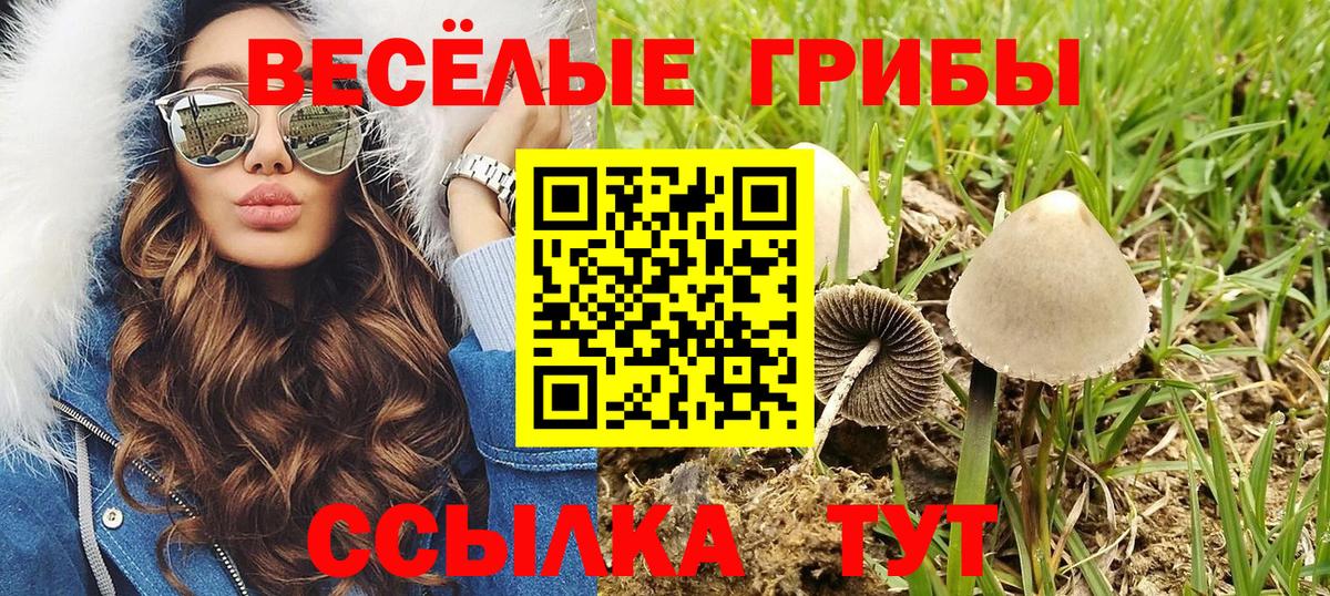 Псилоцибиновые грибы GOLDEN TEACHER Великие Луки